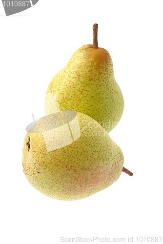 Image of Two pears