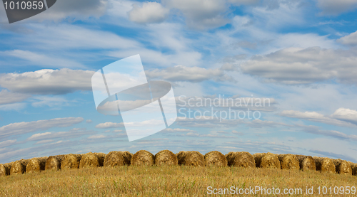 Image of straw stacks on the field