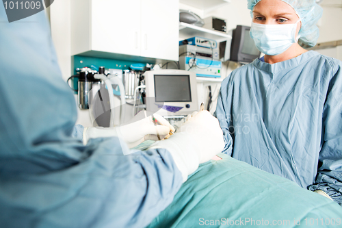 Image of Surgery at Vet Clinic