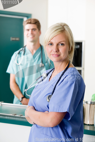 Image of Vet Portrait