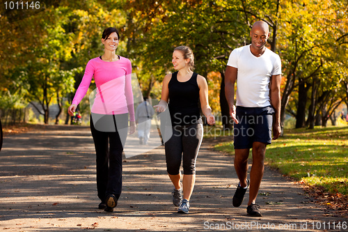 Image of Walk Park