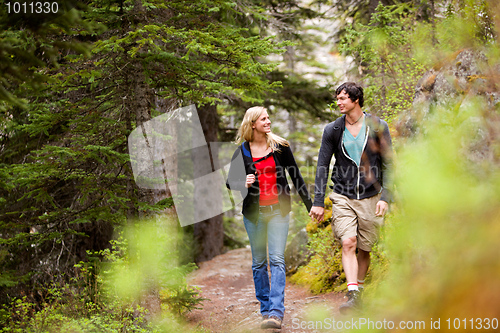 Image of Walk Forest Couple