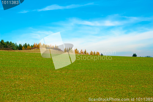 Image of Nice autumn field with blue sky and clouds