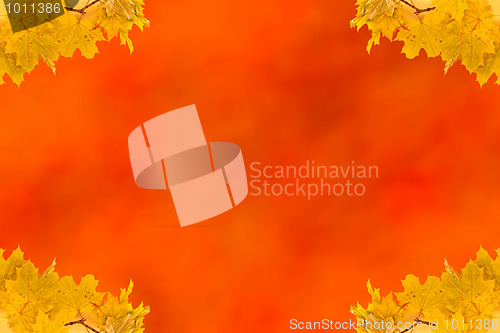 Image of Autumn maple leaves empty frame with space for text