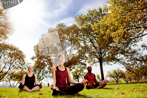 Image of Park Yoga