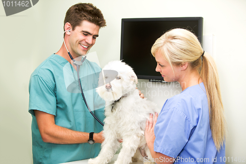 Image of Vet Check-Up