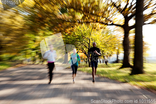 Image of Park Jogging