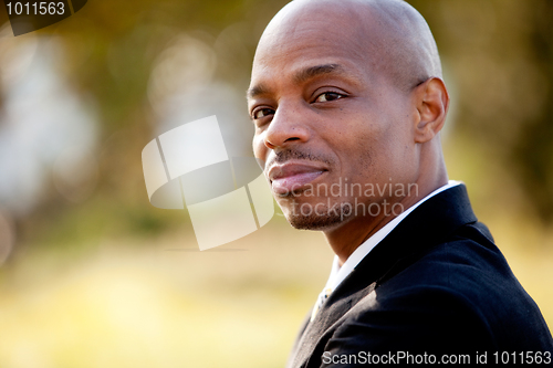 Image of Business Man Portrait