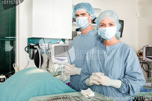 Image of Vet Surgery 