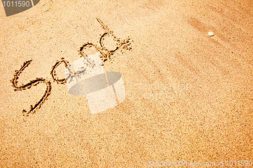 Image of Summer Sand