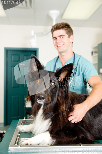 Image of Large Dog at Small Animcal Clinic