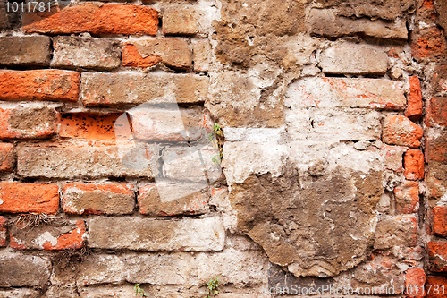 Image of Brick Wall