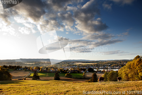 Image of Rural Landscape