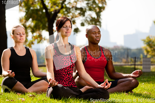 Image of City Park Yoga