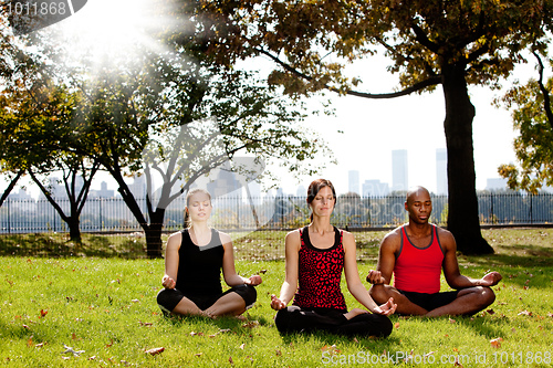 Image of Yoga in Park