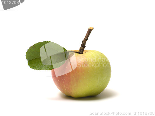 Image of Apple.