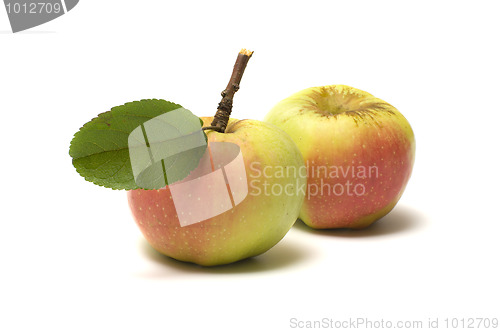 Image of Apples.