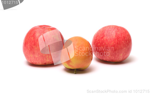 Image of Apples.