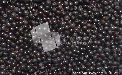 Image of Chokeberry.