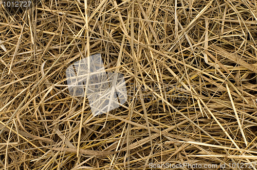 Image of Straw.