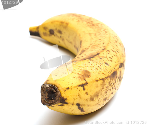 Image of Banana macro.