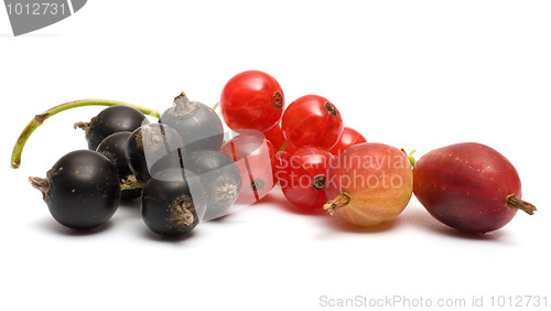 Image of Berries.