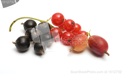 Image of Berries.