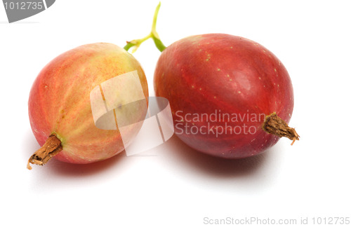 Image of Gooseberry.