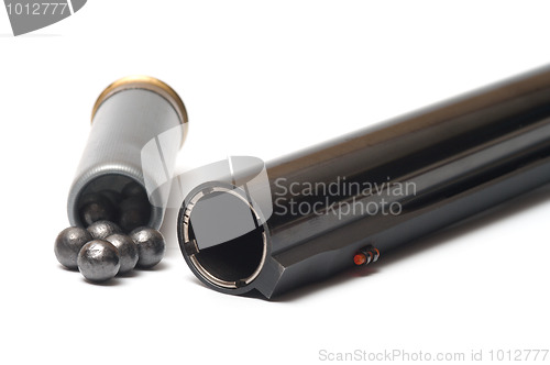 Image of Shotgun and cartridge.