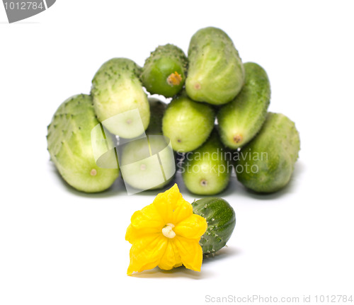 Image of Cucumber.