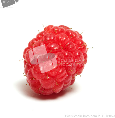 Image of Raspberry.