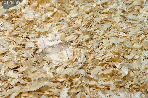 Image of Sawdust.