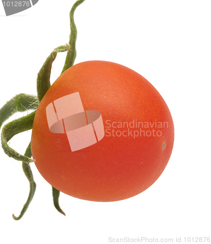 Image of Tomato.