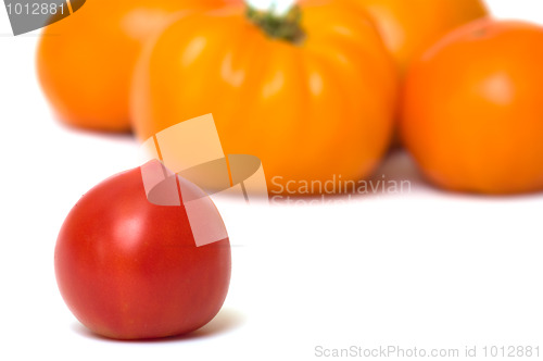 Image of Tomatoes.