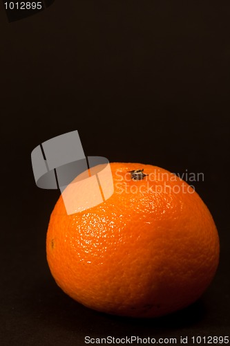 Image of Satsuma