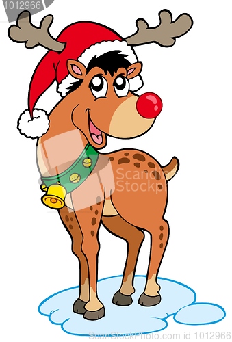 Image of Reindeer in Christmas hat