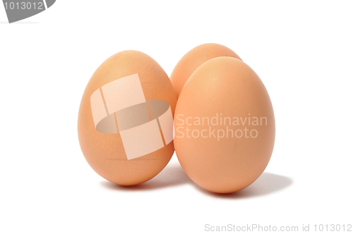 Image of Eggs