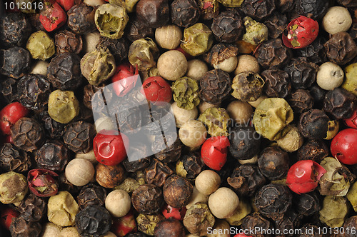 Image of Colorful Pepper