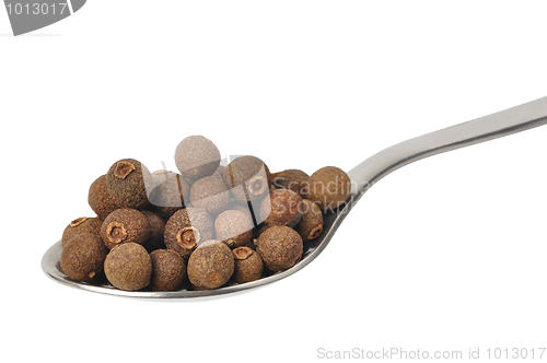 Image of Allspice