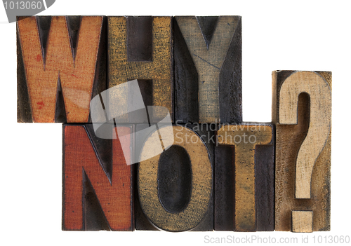 Image of Why not? Vintage letterpress wood type