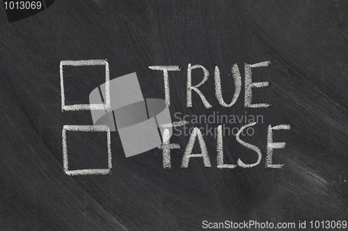 Image of true or false checkboxes