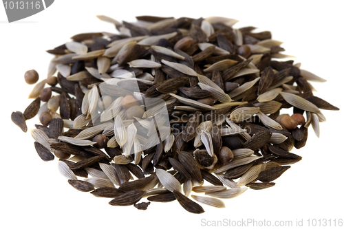 Image of salad blend seeds on white