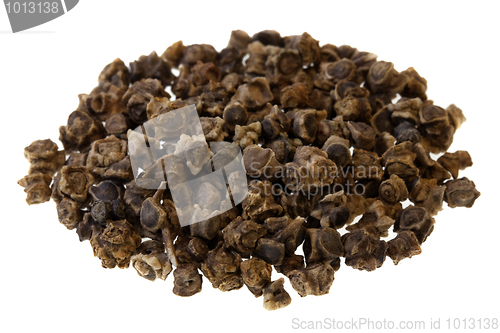 Image of seeds of red beet