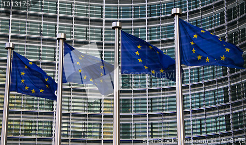 Image of European Flags in Brussels
