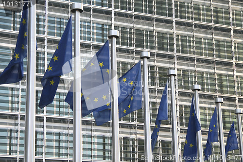 Image of European flags in Brussels