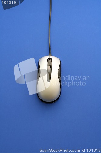 Image of Mouse