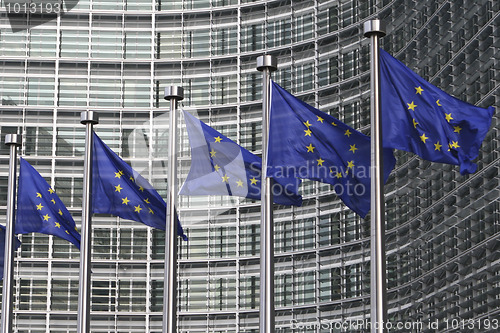 Image of European flags in Brussels