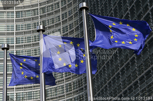 Image of European flags in Brussels