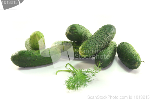 Image of Pickling cucumbers