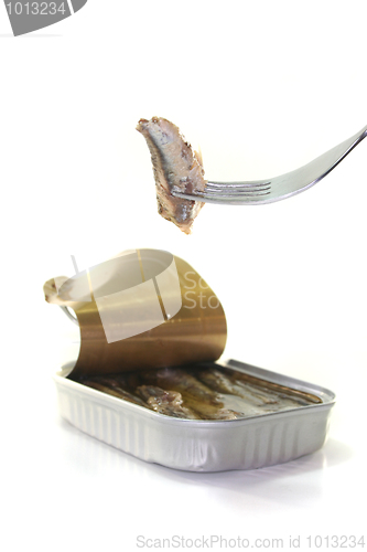 Image of Tin anchovies